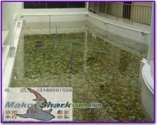 供應桂林專業(yè)魚池工程推薦瑪鯊魚池設備_紡織皮革_世界工廠網(wǎng)中國產(chǎn)品信息庫