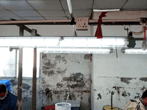 鳳崗企業(yè)因違法行為被罰45000元，監(jiān)管部門正嚴(yán)查企業(yè)這些行為